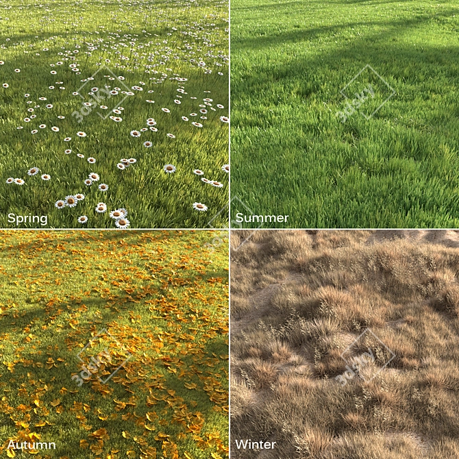 Eternal Verdure: Four Seasons Grass 3D model image 6