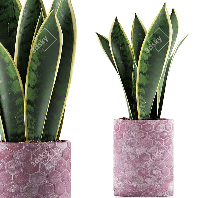 Geometry Collection: Sansevieria 98 3D model image 1