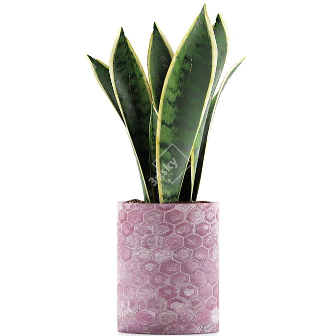 Geometry Collection: Sansevieria 98 3D model image 2