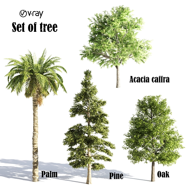 Versatile Collection of 16 Vray Trees 3D model image 1