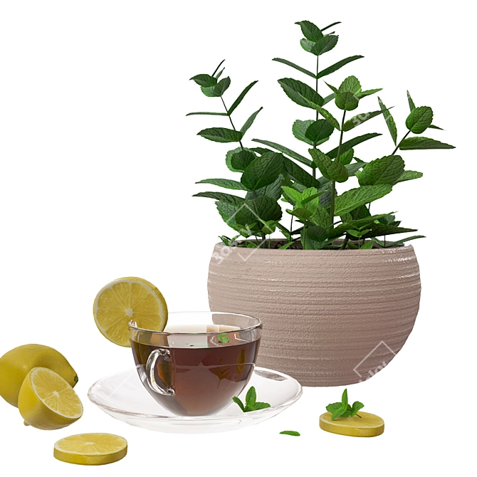 Mint Lemon Tea Decor Set 3D model image 1