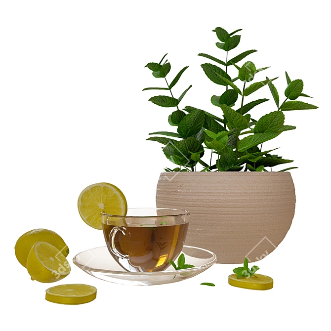 Mint Lemon Tea Decor Set 3D model image 5