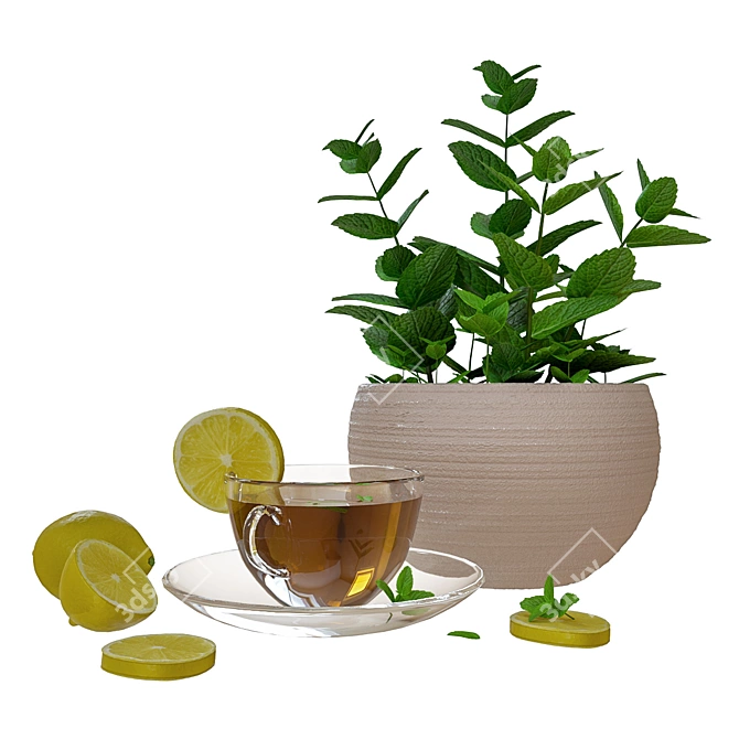 Mint Lemon Tea Decor Set 3D model image 6