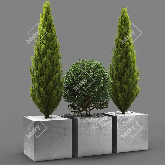 LeafyBot: High-Poly Plant Model 3D model image 1