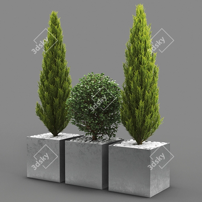 LeafyBot: High-Poly Plant Model 3D model image 2