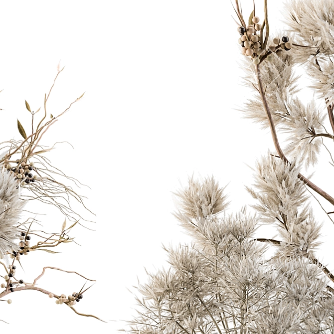 Natural Beauty: Pampas & Dried Branch 3D model image 4