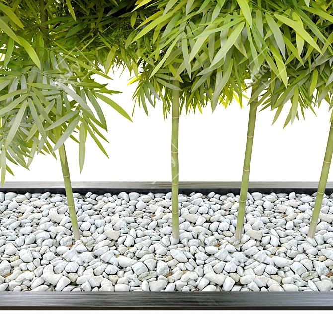 3m Bamboo with Gravel Base 3D model image 2