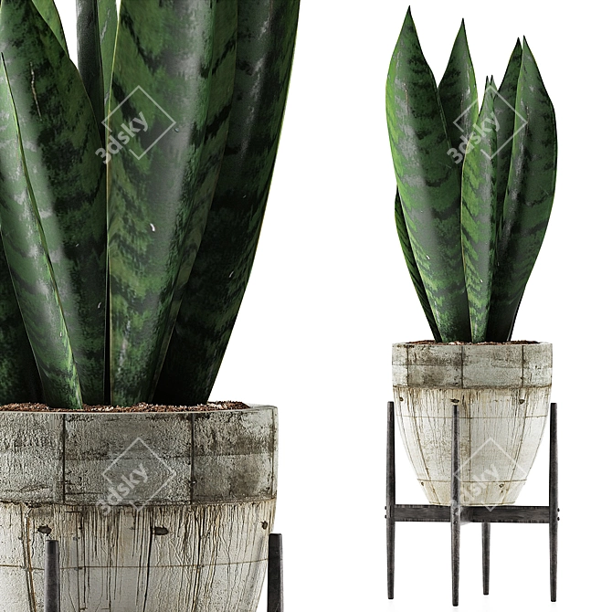 Sculpted Agave Collection: Clean Geometry for Stunning Detail 3D model image 1