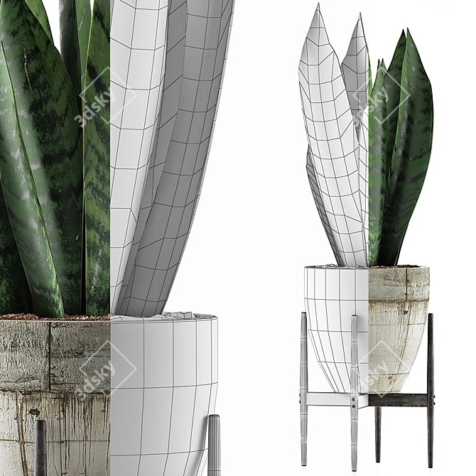 Sculpted Agave Collection: Clean Geometry for Stunning Detail 3D model image 3