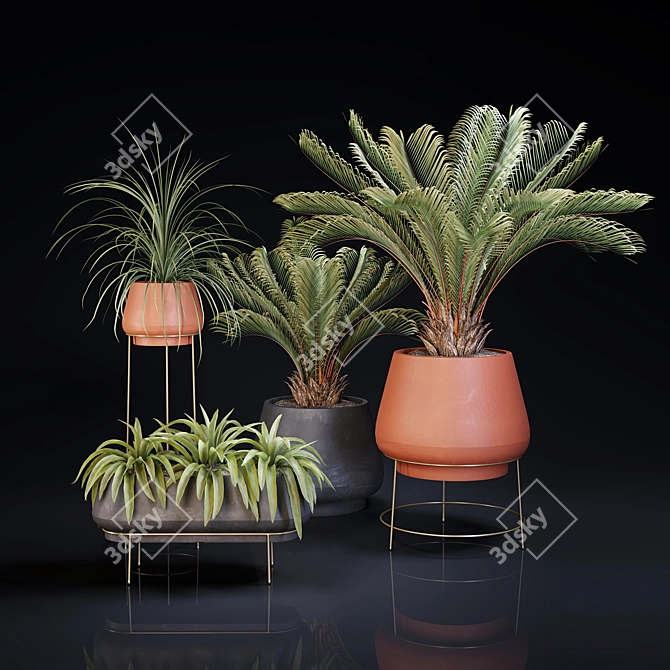 Lush Indoor Greenery Set 3D model image 9