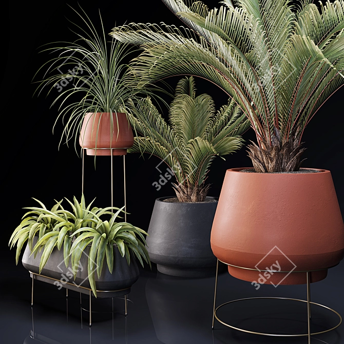 Lush Indoor Greenery Set 3D model image 2