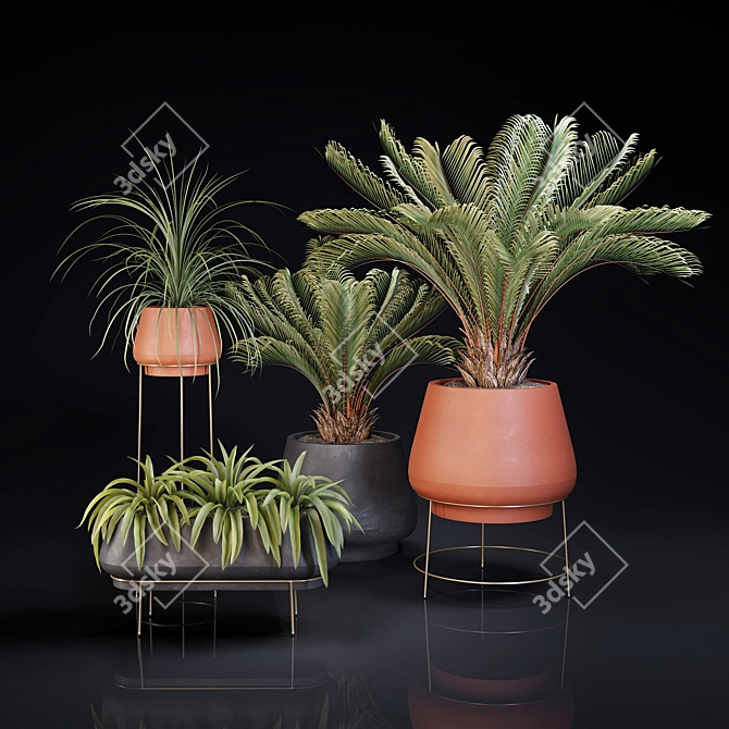 Lush Indoor Greenery Set 3D model image 4