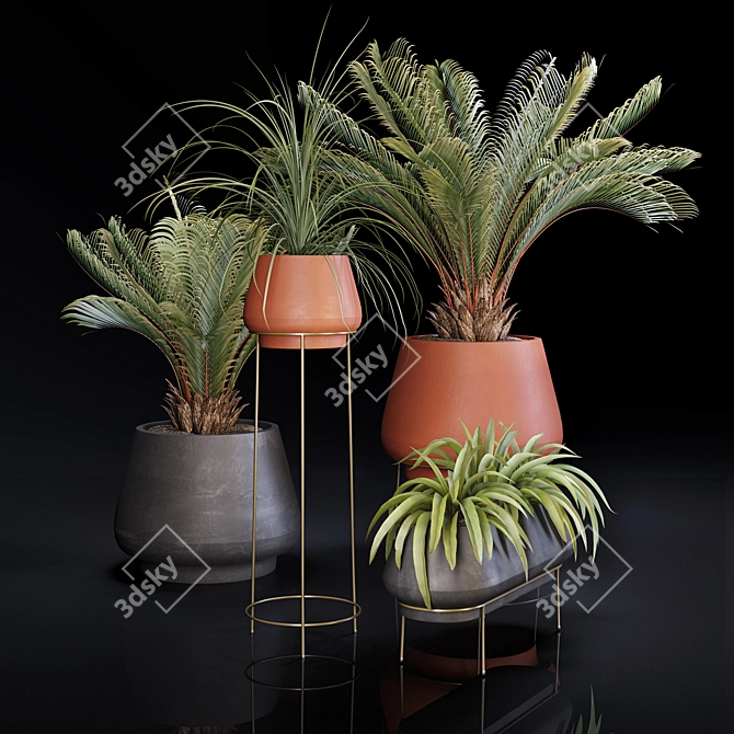 Lush Indoor Greenery Set 3D model image 5