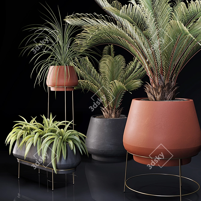 Lush Indoor Greenery Set 3D model image 6