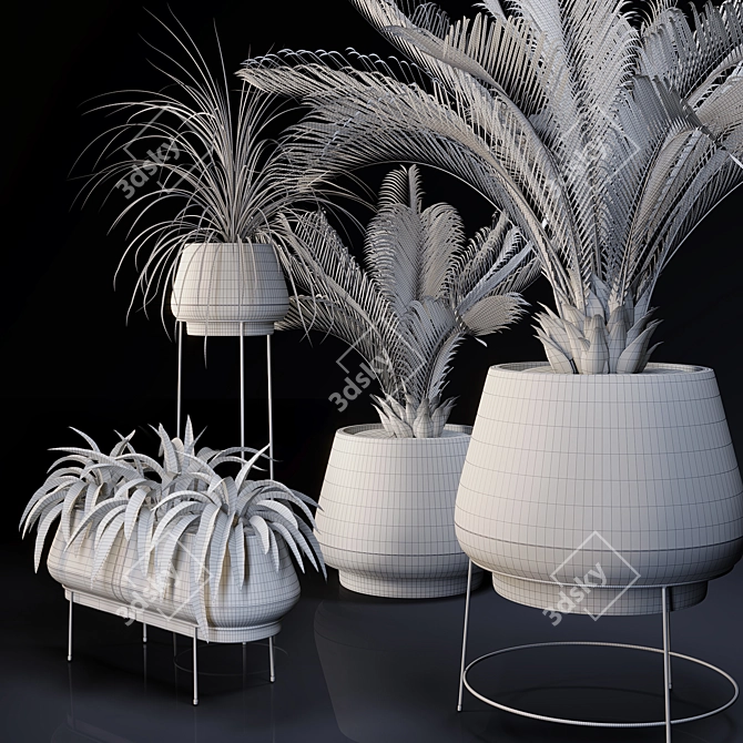 Lush Indoor Greenery Set 3D model image 8