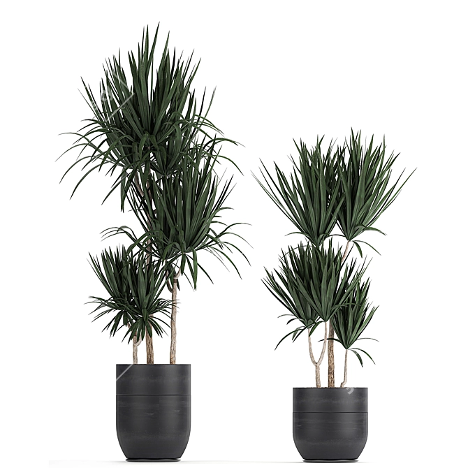 Exotic Plant Collection in Black Vases 3D model image 2