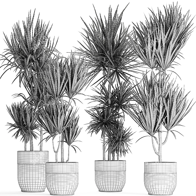 Exotic Plant Collection in Black Vases 3D model image 5