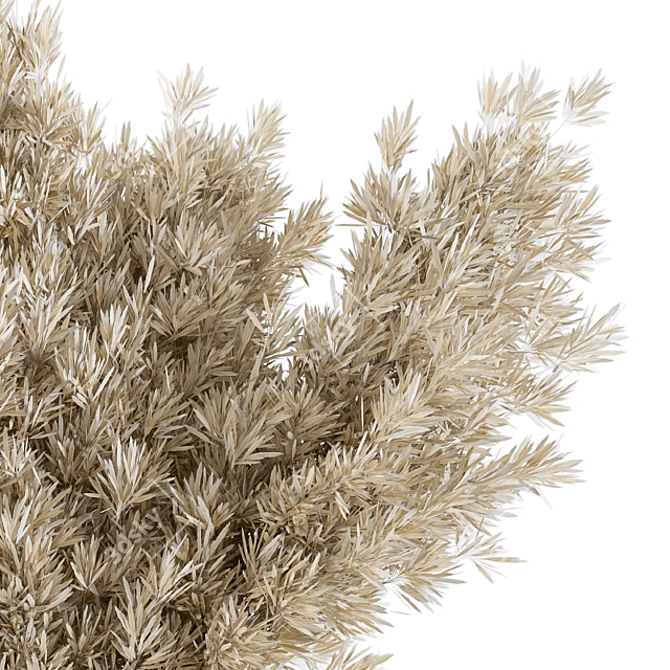 Dried Serenity: Pampas & Branch 3D model image 3