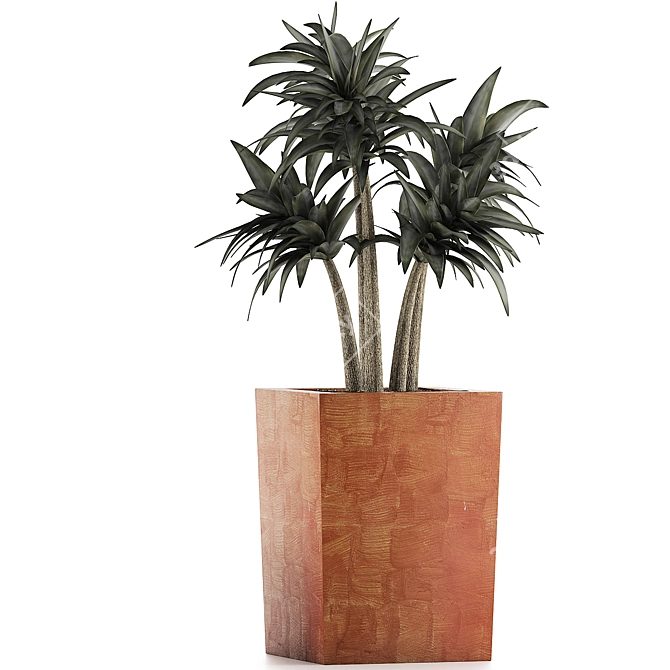 Desert Chic: Mediterranean Plant Collection 3D model image 2