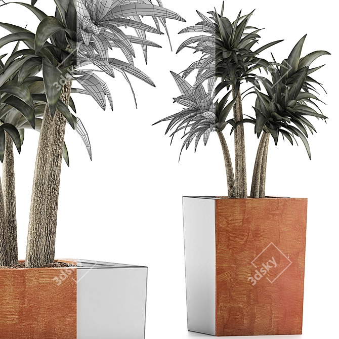 Desert Chic: Mediterranean Plant Collection 3D model image 4