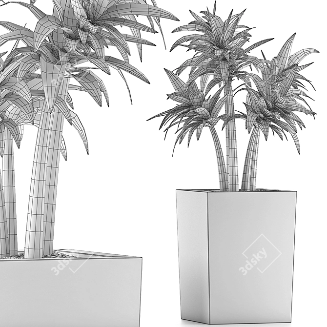 Desert Chic: Mediterranean Plant Collection 3D model image 5