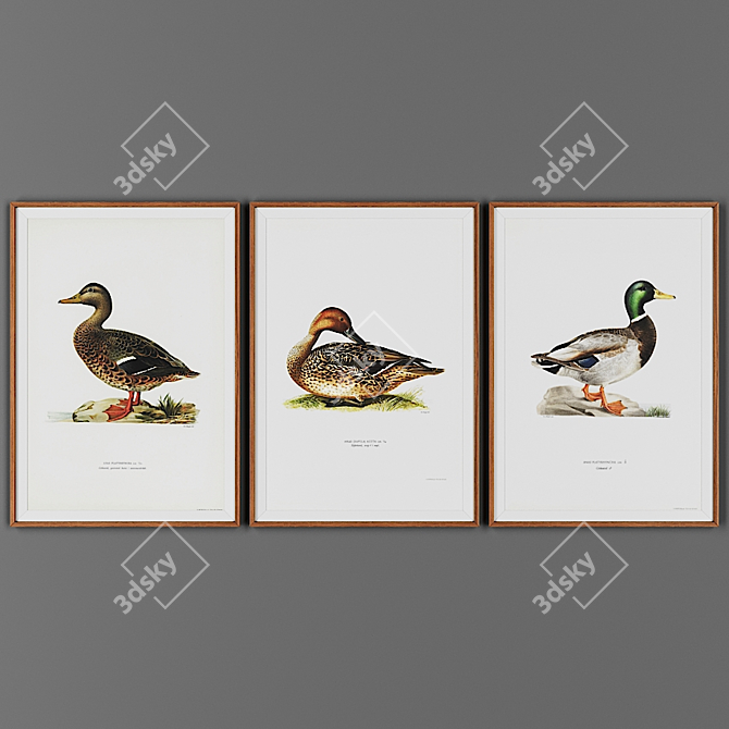 Wooden Frame Picture Set 3D model image 1