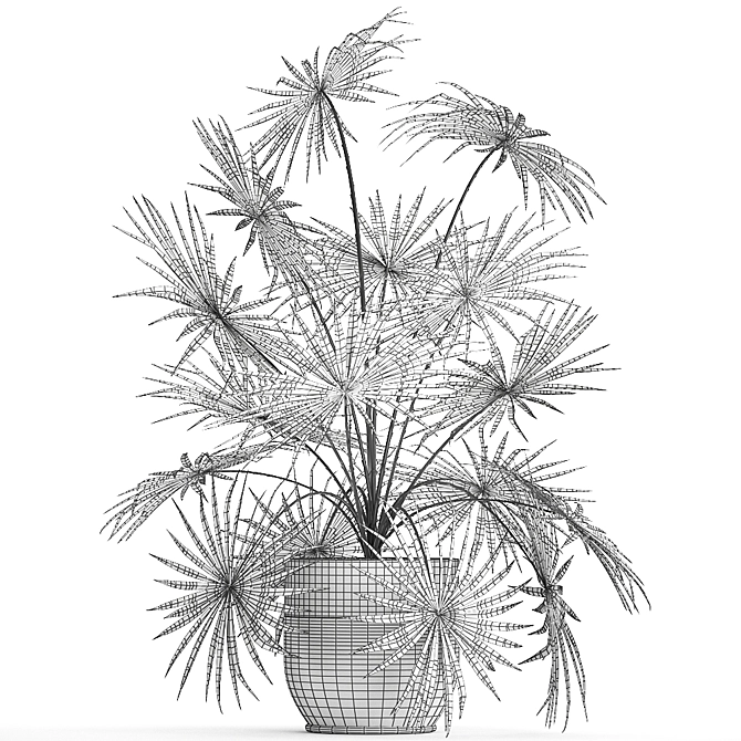 Exotic Palm Collection: Livistona, Coccothrinax, Thrinax 3D model image 5