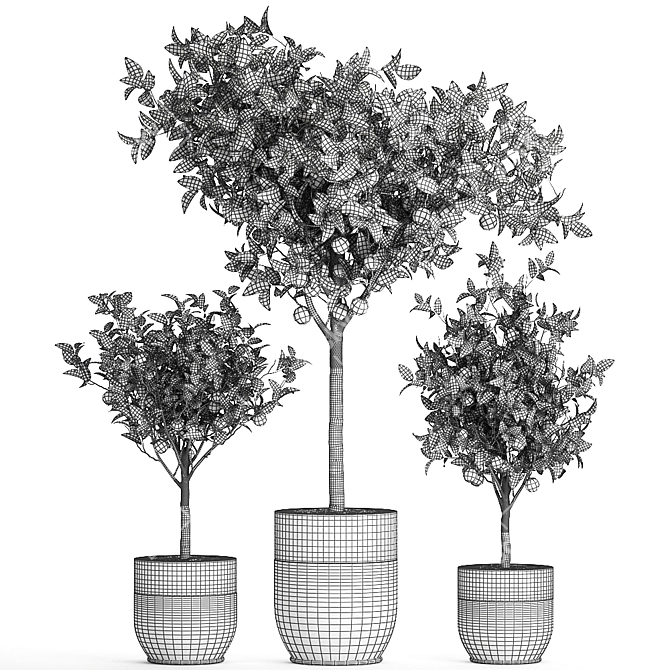 Exotic Citrus Orange Tree: Indoor/Outdoor Decor 3D model image 5