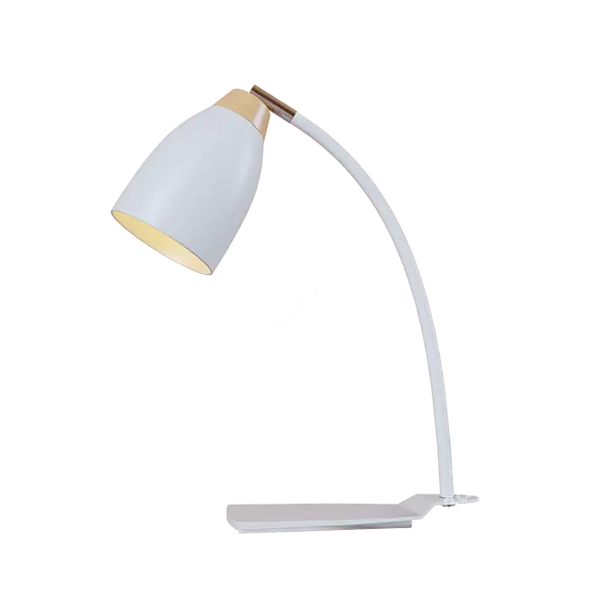 Loft It Loft4402T-WH Pendant Light 3D model image 1