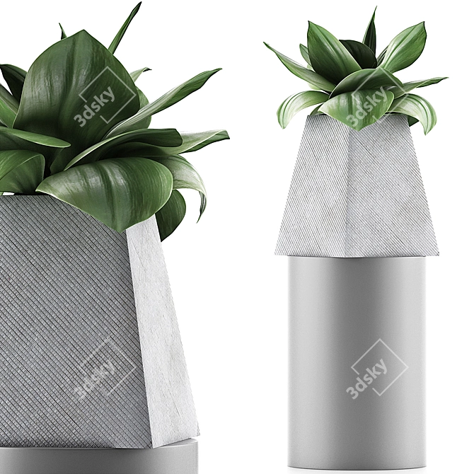 Sleek Agave Plant Collection 3D model image 1