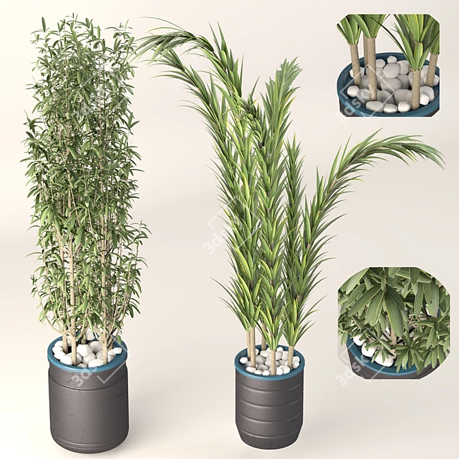 Decorative Plant Duo: Interior Bliss 3D model image 1