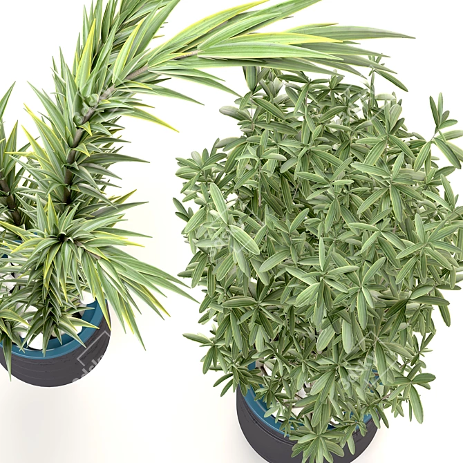 Decorative Plant Duo: Interior Bliss 3D model image 2