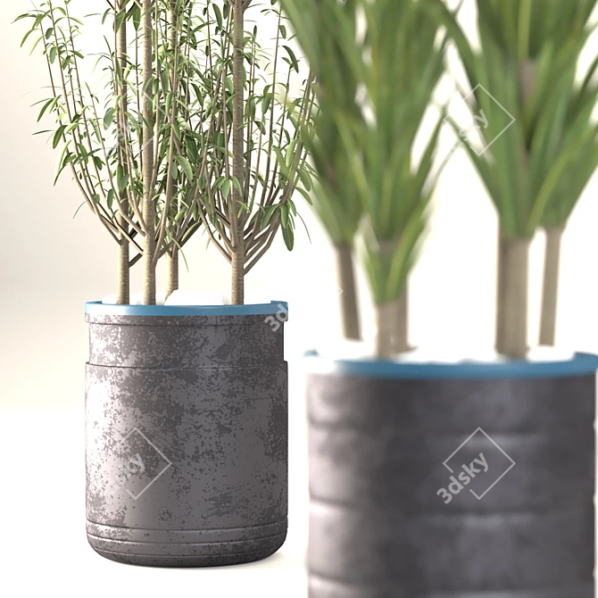 Decorative Plant Duo: Interior Bliss 3D model image 3