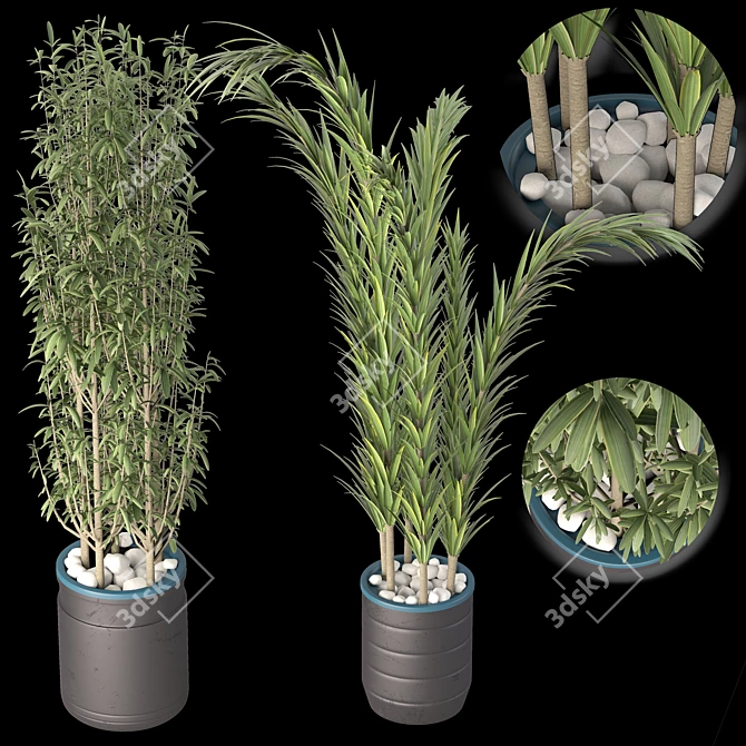 Decorative Plant Duo: Interior Bliss 3D model image 5