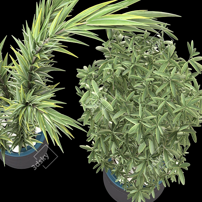 Decorative Plant Duo: Interior Bliss 3D model image 6