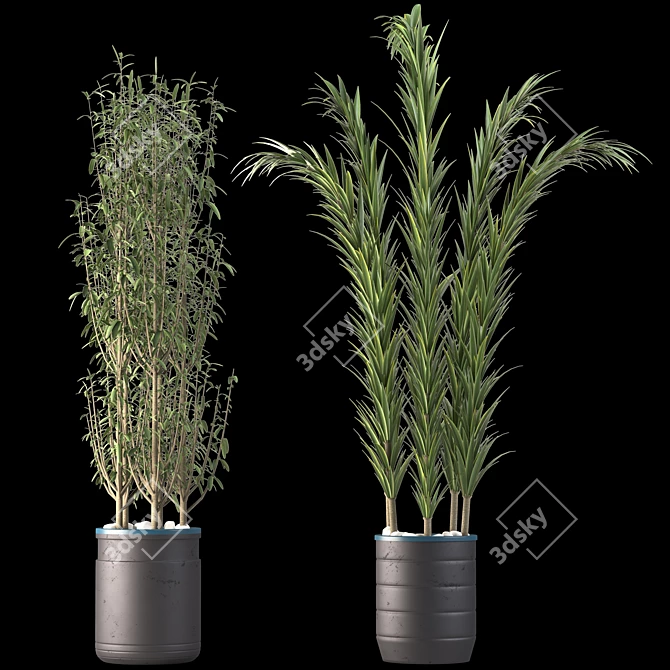 Decorative Plant Duo: Interior Bliss 3D model image 7