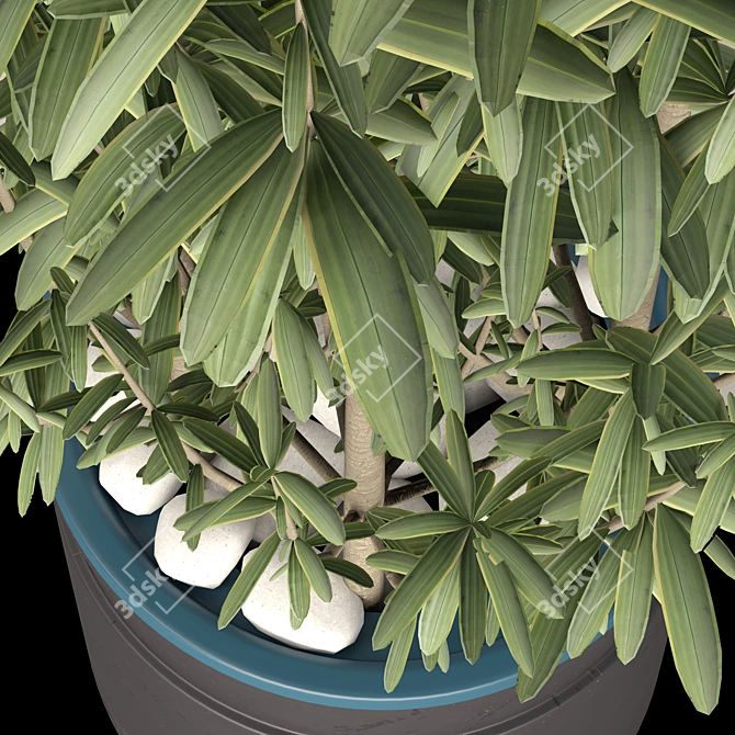 Decorative Plant Duo: Interior Bliss 3D model image 8