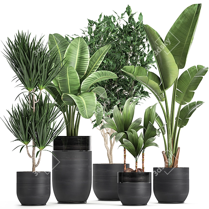 Exotic Plant Collection: Indoor & Outdoor Decor 3D model image 1