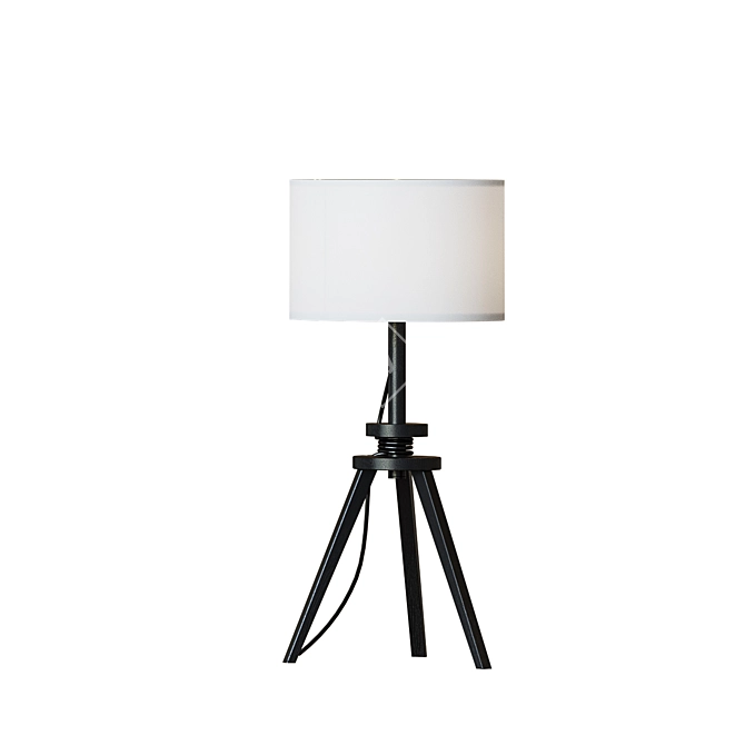Lauters Floor Lamp | Brown Ash/White 3D model image 5
