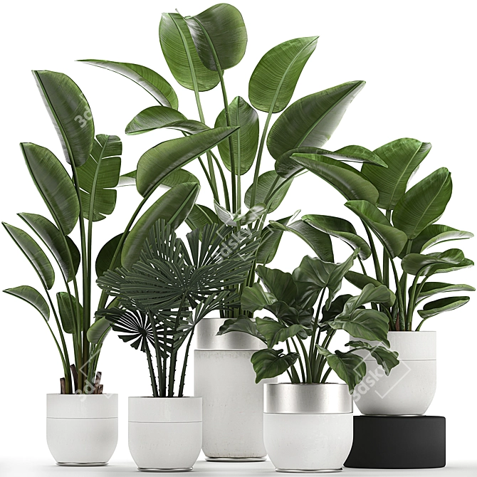Exquisite Plant Collection in White Vases 3D model image 1