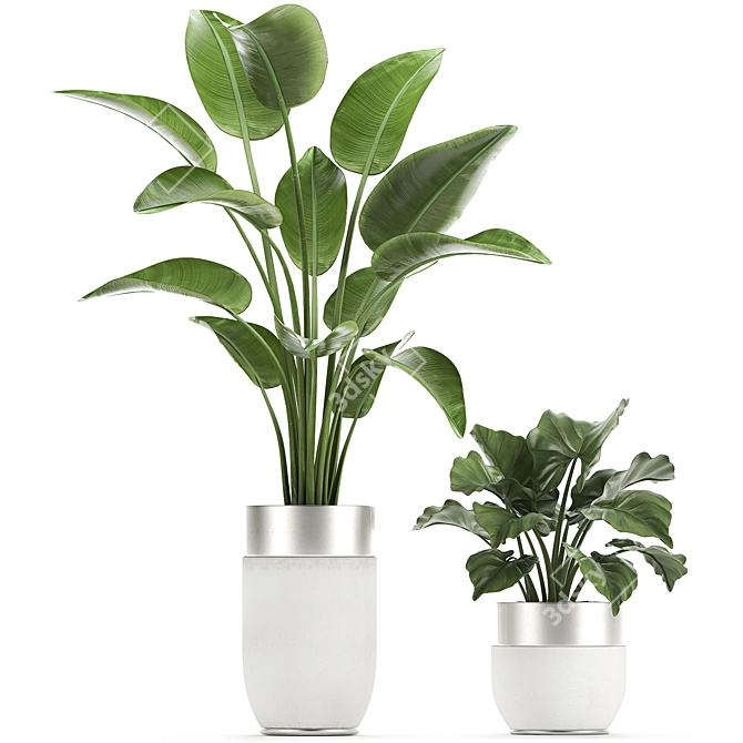 Exquisite Plant Collection in White Vases 3D model image 3