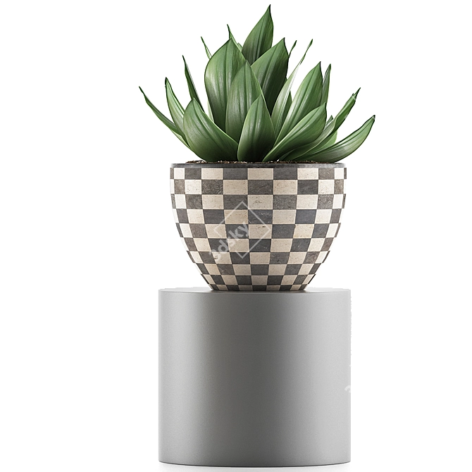 118 Agave Plant Collection 3D model image 2