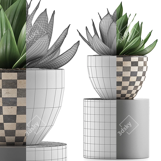 118 Agave Plant Collection 3D model image 4