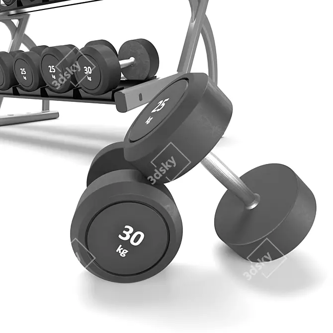 MaxFit Body Building Set: Gym Tools for Fitness 3D model image 3