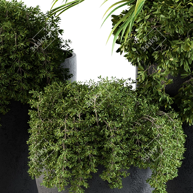 Green Oasis Outdoor Plants - Set 81 3D model image 4