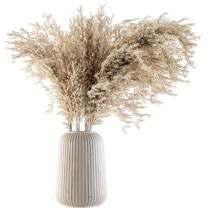 Natural Dried Pampas Grass 3D model image 1