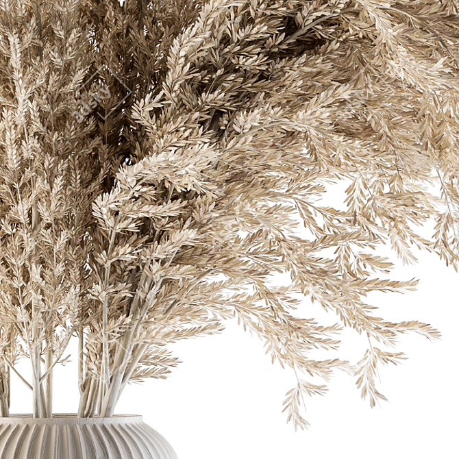 Natural Dried Pampas Grass 3D model image 4