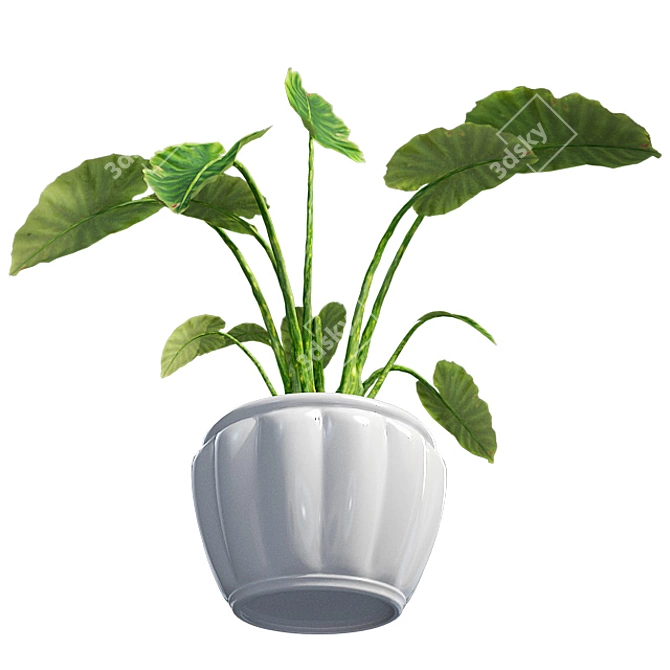 Luscious Elephant Ear Pot 3D model image 3