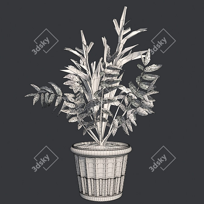 Elegant False Spirea in Pot 3D model image 5