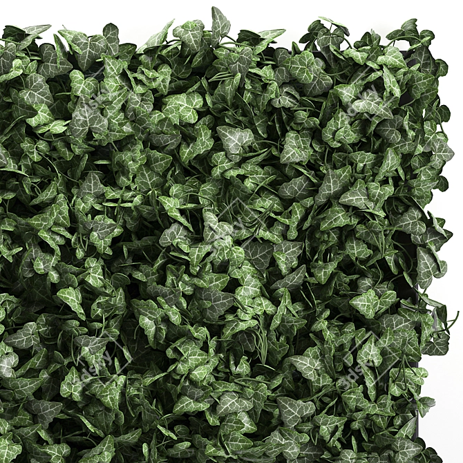 Vertical Green Wall: Modern Vertical Gardening 3D model image 3